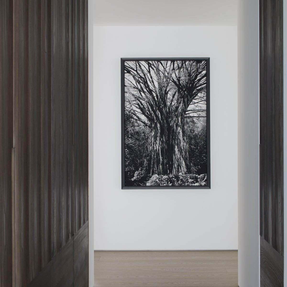 Fotografía de autor en interiorismo: cómo elegir escala, fotógrafo y montaje Fotografía de autor en interiorismo: cómo elegir escala, fotógrafo y montaje